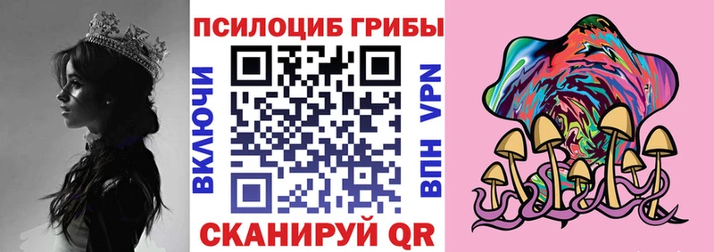 закладка  Ковров  Галлюциногенные грибы Psilocybine cubensis 