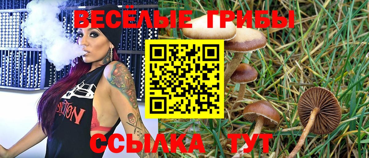 ГАШИШ  Ковров  Каннабис  Героин  МЕТАДОН  Мефедрон   Вход с VPN  А ПВП СК  